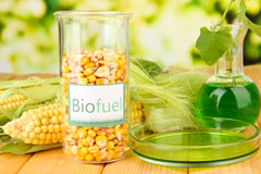 Ashampstead Green biofuel availability